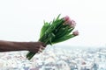 Tulip flowers in manÃ¢â¬â¢s hand against urban blurred background,